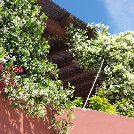 Gato Preto De Silves - Adults Only Bed & Breakfast Екстериор снимка