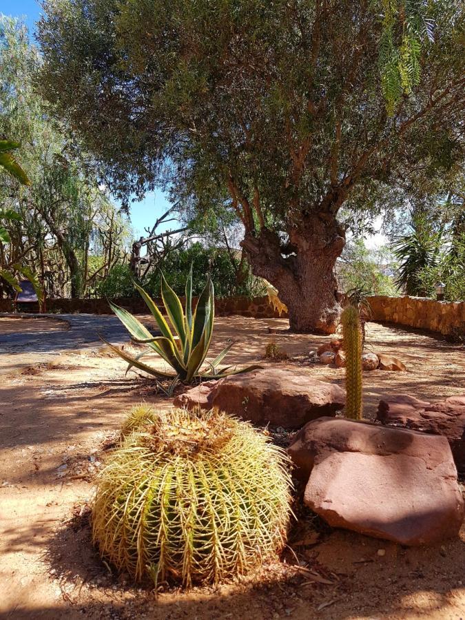 Gato Preto De Silves - Adults Only Bed & Breakfast Екстериор снимка