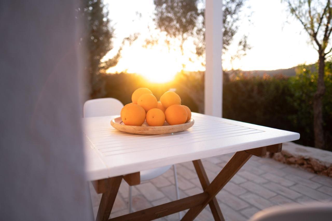 Gato Preto De Silves - Adults Only Bed & Breakfast Екстериор снимка